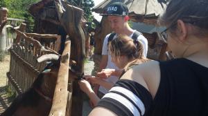 chotebor37