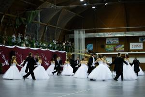IMG 8587