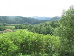 IMG 5099