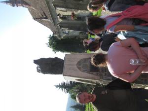 IMG 5359