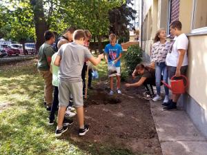 Gyógynövény- és fűszerkert a gimnáziumban