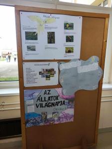 allatvedemi-temahet-2023-20