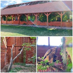 allavedemi-temahet-3-nap-2023-05