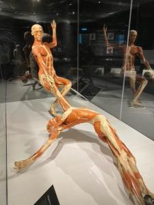 body02